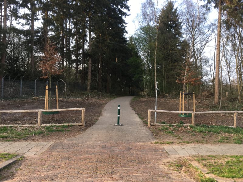Nieuwe bomen Thomas á Kempislaan geplant Nieuwe bomen Thomas á Kempislaan geplant