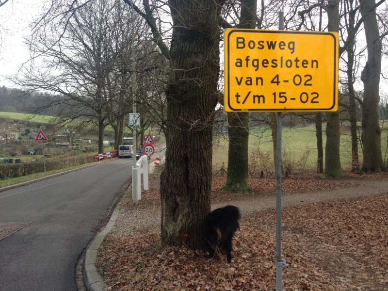 Bosweg : werkzaamheden binnenkort van start ! Bosweg : werkzaamheden binnenkort van start !