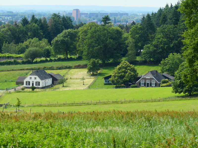 U kunt lid worden van het Boom kwaliteitsteam van de Gemeente Arnhem ! U kunt lid worden van het Boom kwaliteitsteam van de Gemeente Arnhem !