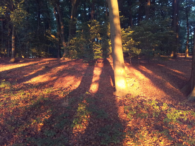 presentatie conceptvisie uitgesteld