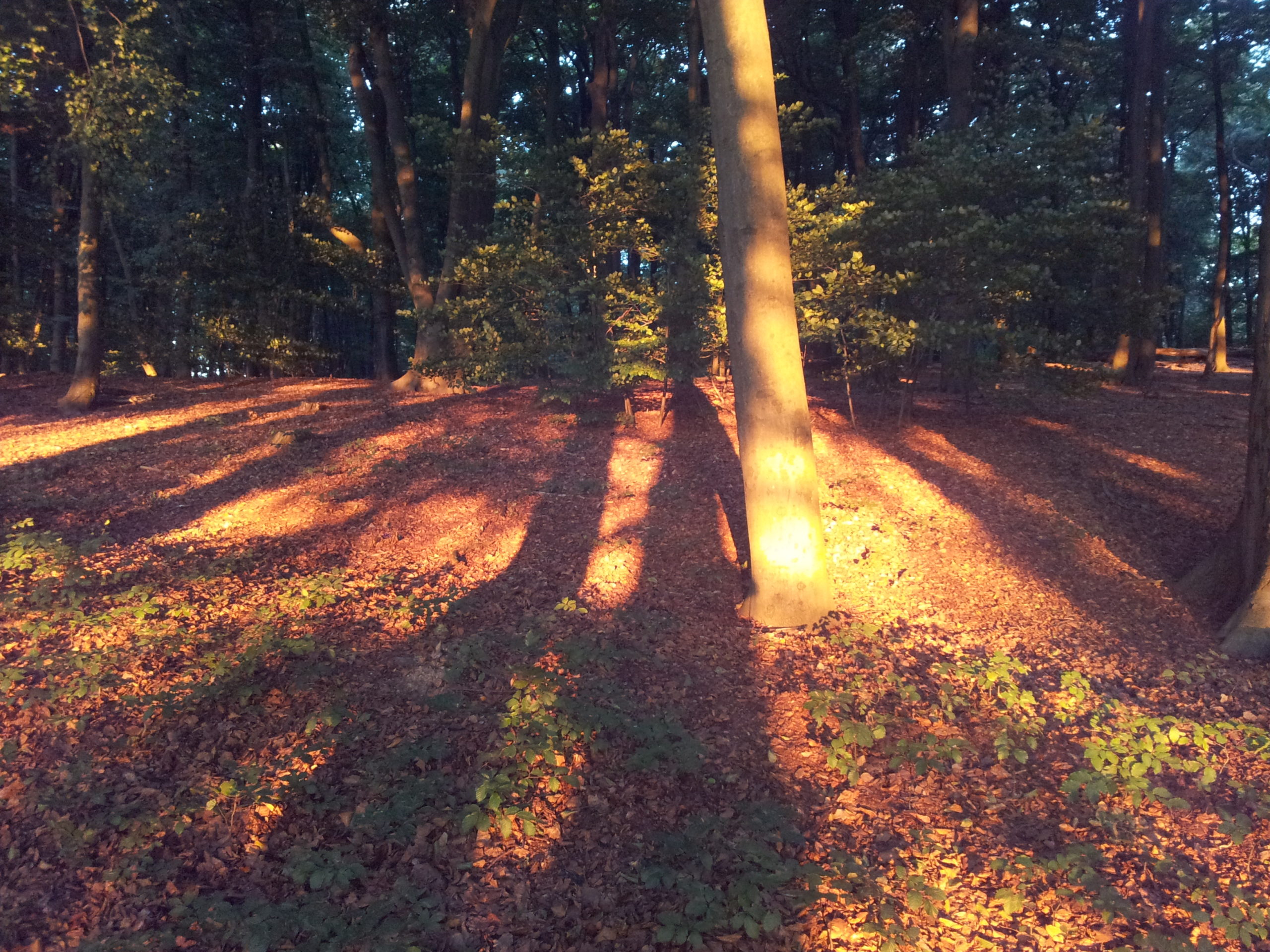 presentatie conceptvisie uitgesteld