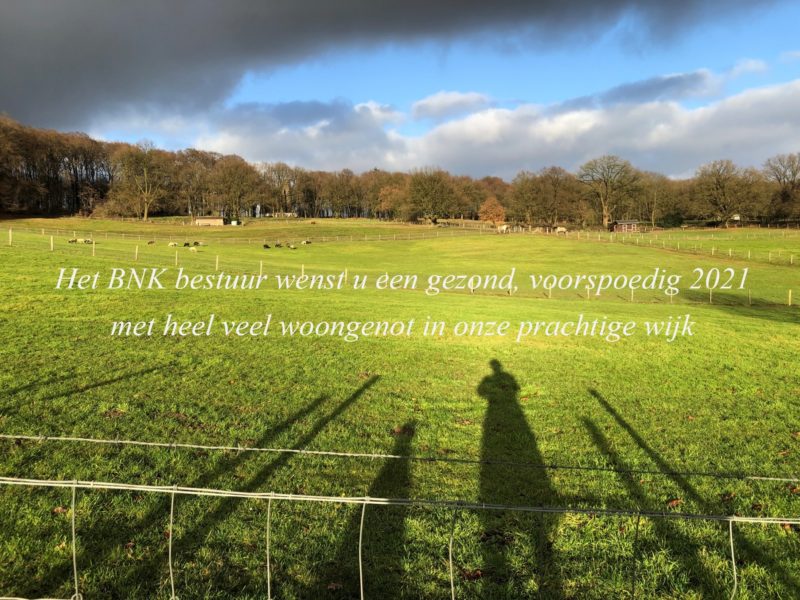Nieuwjaarswens Nieuwjaarswens