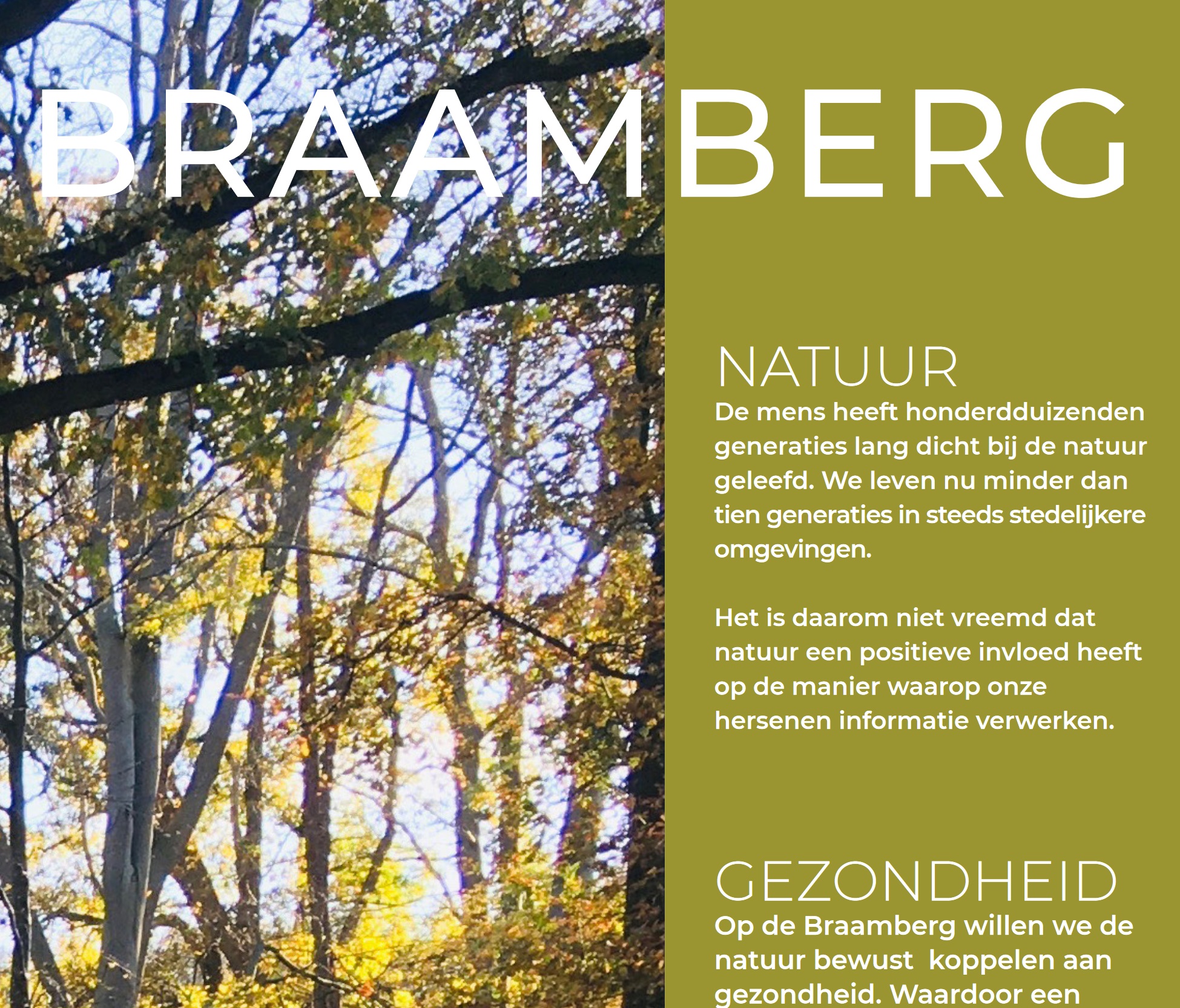Inrichting groengebied rond De Braamberg / Braamberg Nieuwsbrief Nr. 2