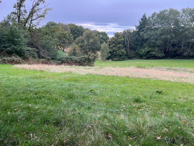 Verslag schouwwandeling park Klarenbeek, Hazegrietje.