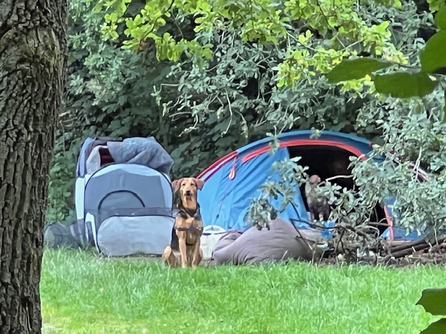 stadsnomaden vertrokken uit park Klarenbeek
