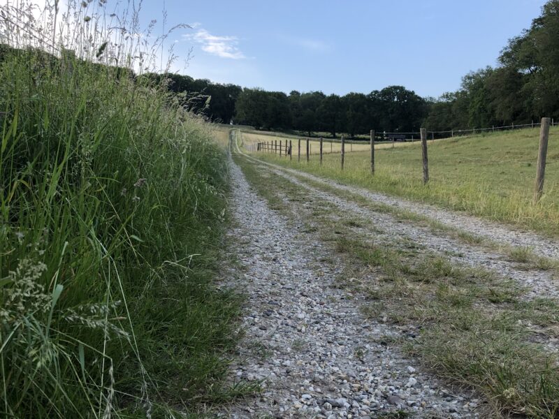 Visie parken 2026-2036 nagenoeg gereed Visie parken 2026-2036 nagenoeg gereed