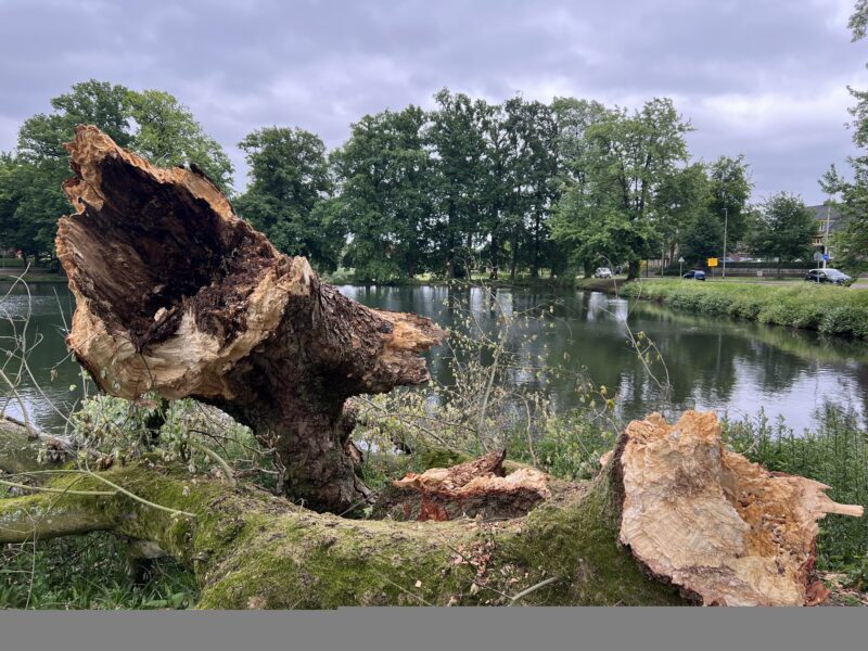 Nieuwsbrief no 1 april 2026 verschenen en gepubliceerd Nieuwsbrief no 1 april 2026 verschenen en gepubliceerd