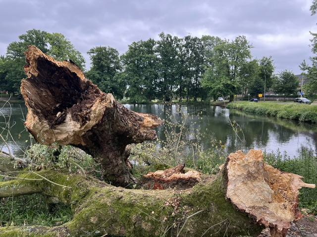 Aanstaande schouwwandeling park klarenbeek verplaatst Aanstaande schouwwandeling park klarenbeek verplaatst